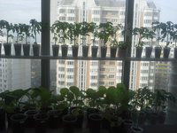 20160428_075116.jpg