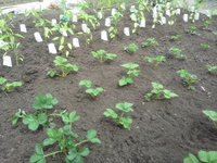 20160524_133853.jpg