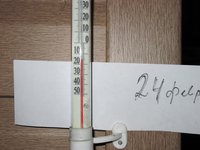 IMG_7229.JPG
