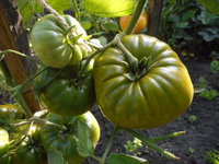 DSCN1188.JPG