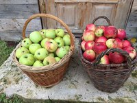 Фото 30.09.16, 12 17 50.jpg