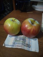 Яблоко из Молдовы.