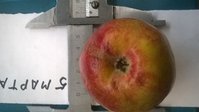 WP_20180305_001.jpg