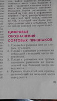 IMG_20180308_125518.jpg