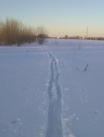 IMG_20180310_183611.jpg