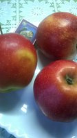 WP_20180311_002.jpg