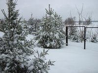 7 апреля 2012 года