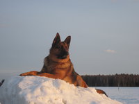 7 апреля 2013 года