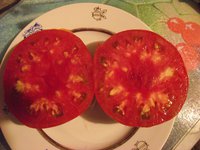 Узбекские1.jpg