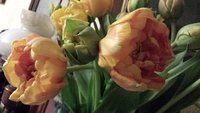 20180310_201036.jpg