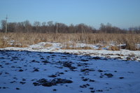 DSC_0839.jpg