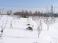 P1010233.jpg