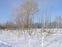 P1010186.jpg