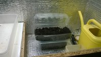 WP_20180315_006.jpg