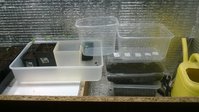 WP_20180315_007.jpg