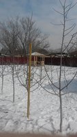 20180318_122744.jpg