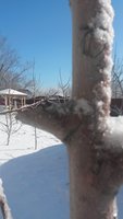 20180320_110131.jpg