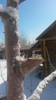 20180320_110141.jpg