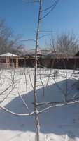 20180320_110102.jpg