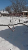 20180320_110224.jpg
