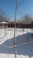 p123.jpg