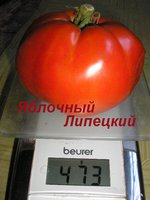P1010156~.jpg