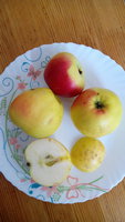 IMG_20180318_131116.jpg