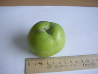 STA42352.JPG