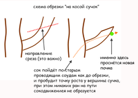 Обрезка на косой сучек.png