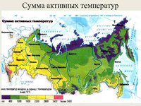 image-8.jpg