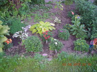 DSCN4310.JPG