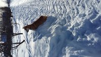 20180309_154608.jpg