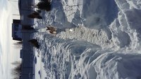 20180309_154113.jpg