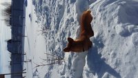 20180309_154134.jpg