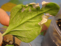 DSC06402.jpg