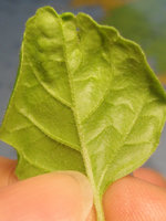 DSC06404.jpg