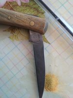 IMG_20180328_091601.jpg