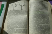P1350751.JPG