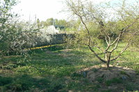 P1200474.JPG