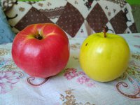 IMG_20180325_142722.jpg
