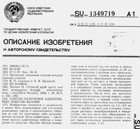 Способ получения адвентивных побегов яблони 1.