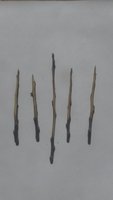 20180405_133452.jpg