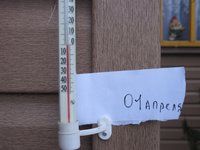 IMG_7319.JPG