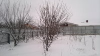 2018-01-28-1780.jpg