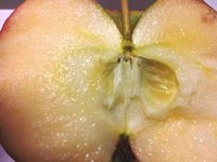 20140929_095158_1.jpg