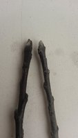 20180407_132519.jpg