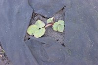 IMG_0741.JPG