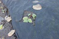 IMG_0742.JPG