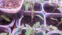 20180402_211344.jpg