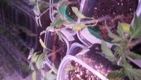 20180402_211405.jpg